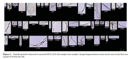 FlowCam images of peptide particles