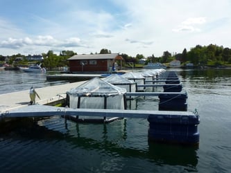 Replicate mesocosm experiments used to analyze the effects of elevated CO2 levels and Fe on phytoplankton populations, Raunefjord (60.39oN, 5.32oE) off of Bergen, Norway from June 5-27, 2012.