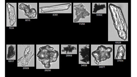 FlowCam collage of oil and gas completion fluid particles