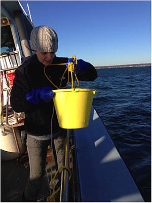 GSO student collecting plankton for the NB long-term planktonmonitoring program.