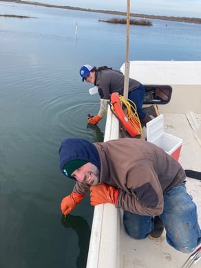 Nantucket Department of Natural Resources collecting water samples from boat