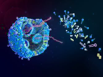 Rendering of lipid nanoparticle