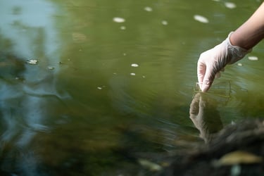 Gloved hand reaching into green water with beaker