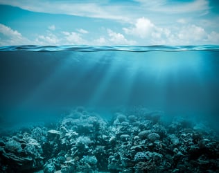 Ocean floor with surface and sky