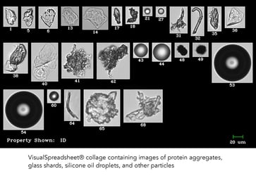 FlowCam collage of biopharmaceutical sample particles
