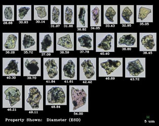 FlowCam collage of particles from sample of blue eyeshadow