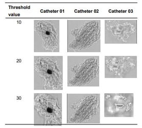 FlowCam particle edge trace - Rostock paper