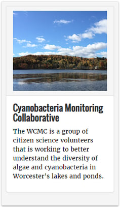 News clip about Cyanobacteria Monitoring Collective - Worcester, Massachusetts
