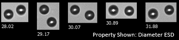 FlowCam images showing multiple particles captured together when "distance to nearest neighbor" setting is incorrect