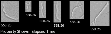 FlowCam images showing single particle being segmented when "distance to nearest neighbor" setting is incorrect