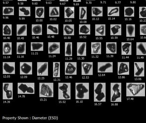 FlowCam images of micronized diamonds