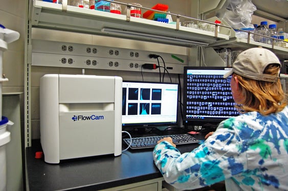 Student uses FlowCam in Eckerd College lab