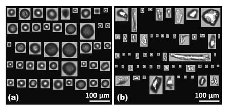 FlowCam collage of microplastic particles comparing morphology