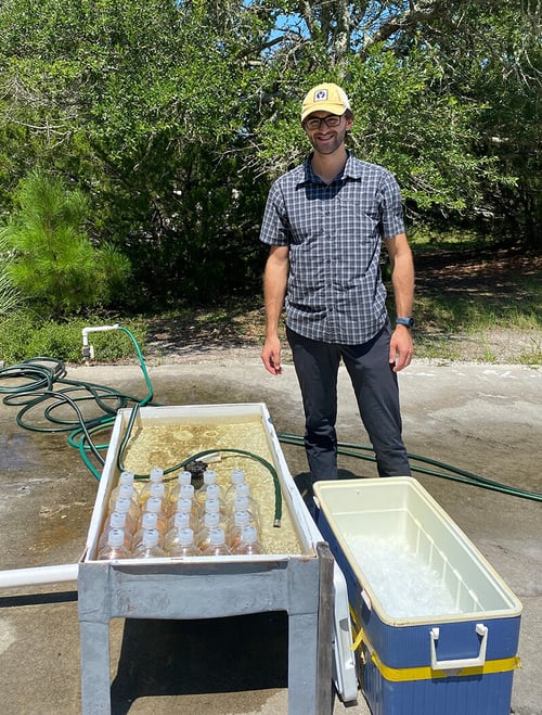 Experimental set-up for rainwater additions to determine phyto growth and comm structu