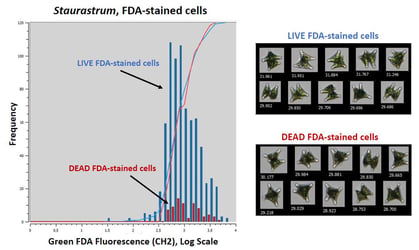 FlowCam data on FDA-staned algal cells