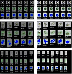 FlowCam images of various particles at various background intensity settings