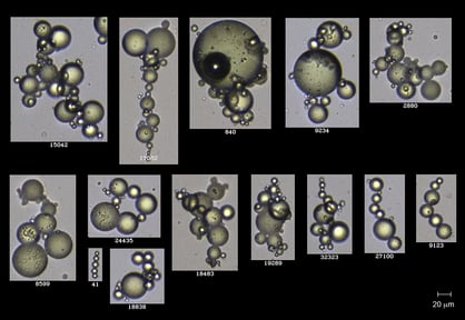 Iowa State University FlowCam images of magnetic ionic liquids