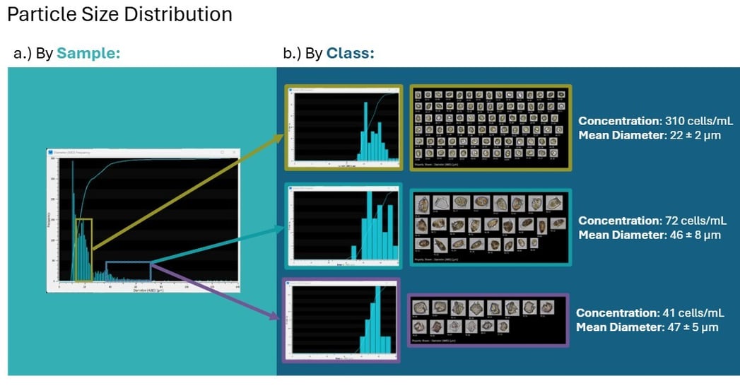 Figure-classification-blog-post