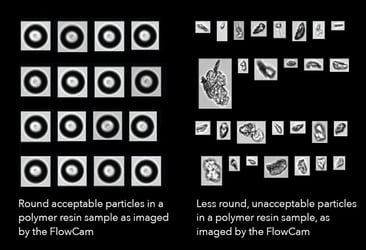 Column Packing Particles FlowCam