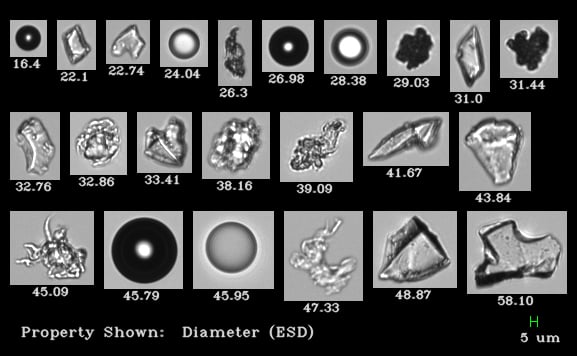 FlowCam 8100 collage of biopharma particles including protein aggregates, silicone oil droplets, and glass shards