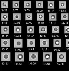 FlowCam collage of silicone oil droplets