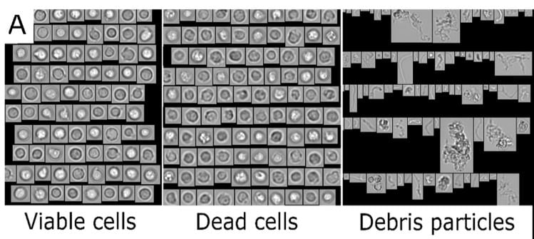 FlowCam images from Kurzhals et al study of viable cells, dead cells, and debris particles