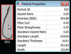 FlowCam data showing fiber particle properties