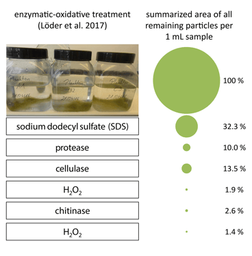 Microplastic study data by Lorenz et al