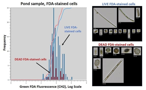 FlowCam data and images comparing live vs. dead pond samples stained with FDA