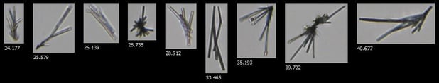FlowCam collage of FDA precipitate in pond sample