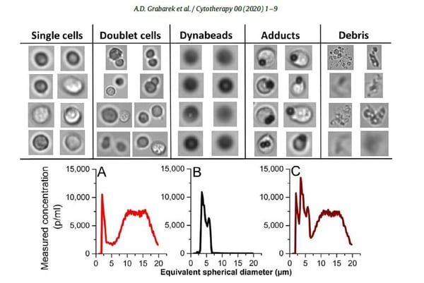 Grabarek et al FlowCam data including images of cell-based medicinal products