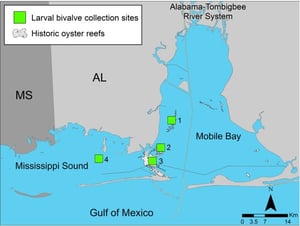 Map of Mobile Bay collection sites for Gancel et al study