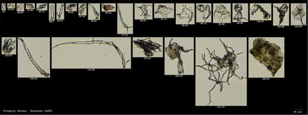 FlowCam collage of microplastic fibers