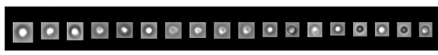 FlowCam images of particles formed in PVC IV bag filled with saline and no protein