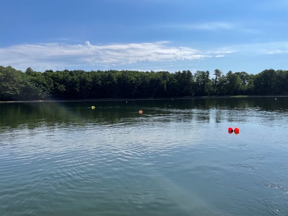 crab trap buoys at a sampling site in Great Bay Estuary