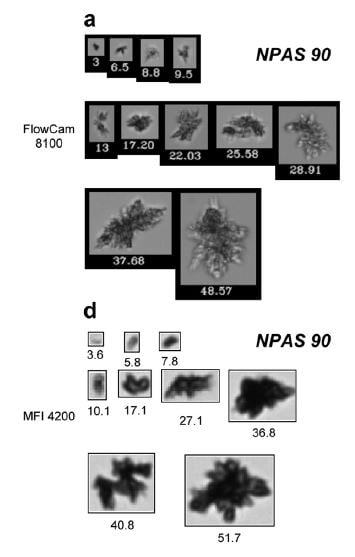 FlowCam 8100 protein images compared to MFI 4200