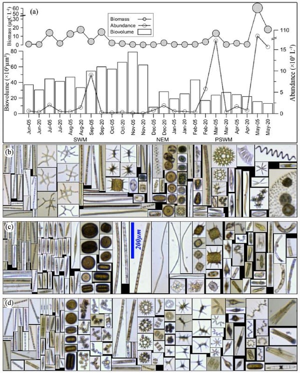 Karnan et al paper - figure 3 - FlowCam plankton images and data