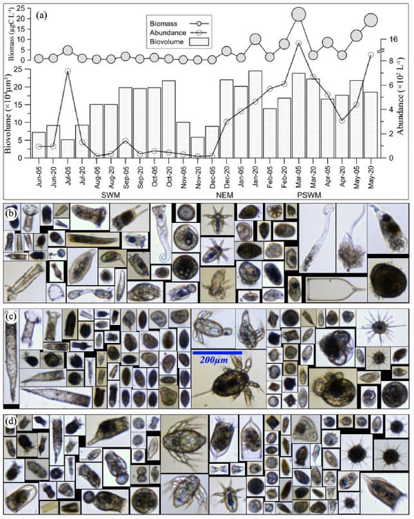 Karnan et al paper - figure 4 - FlowCam plankton images and data