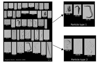 FlowCam collages of biopharma particles - translucent