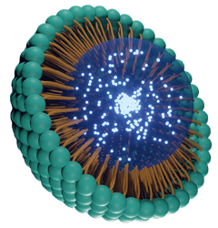 Stock illustration of lipid nanoparticle (LNP)