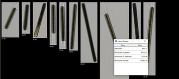 FlowCam Cyano collage of Lyngbya cyanobacteria with particle properties