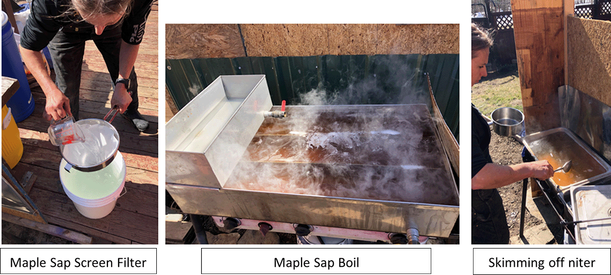 Maple syrup process