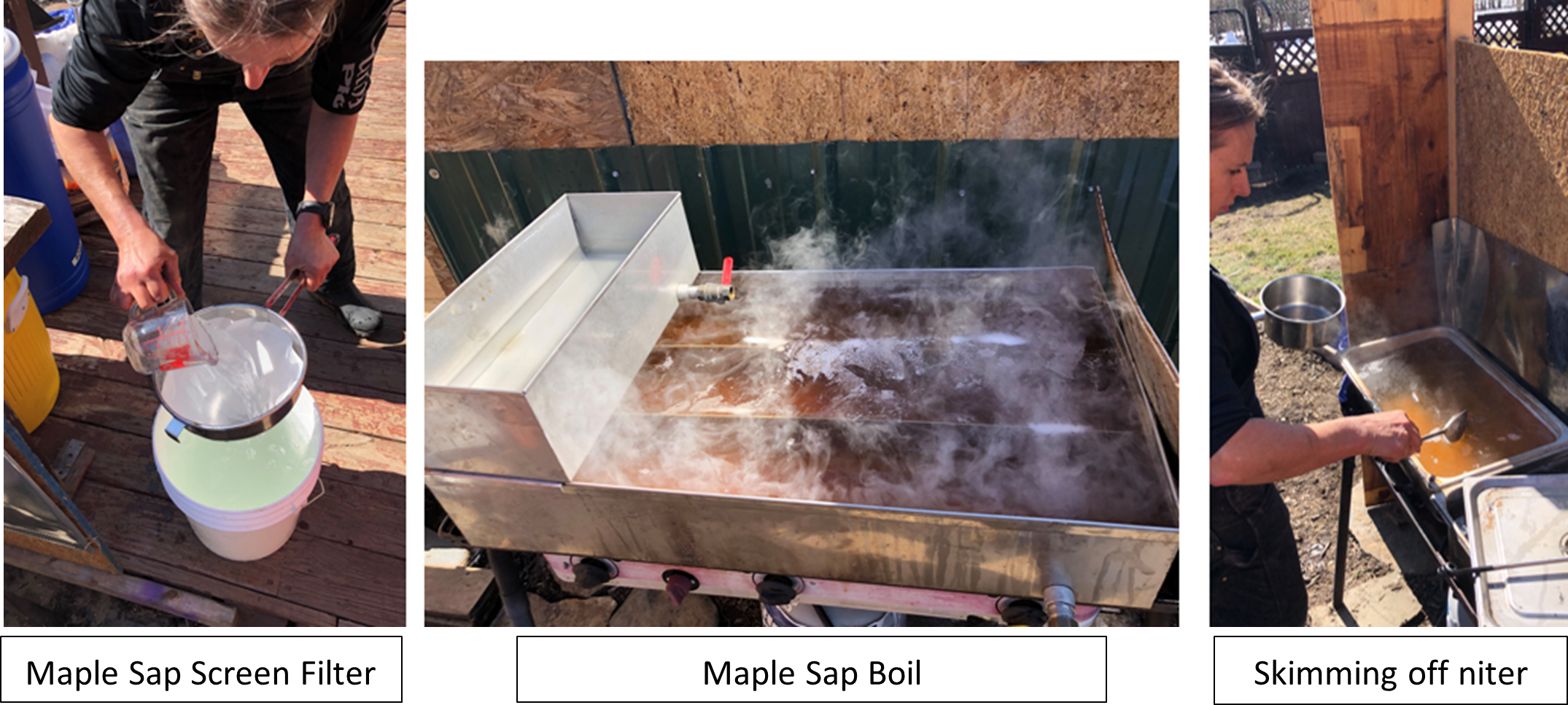 Maple syrup process