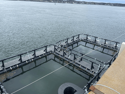 University of New Hampshire aquaculture platform: "Aquafort"