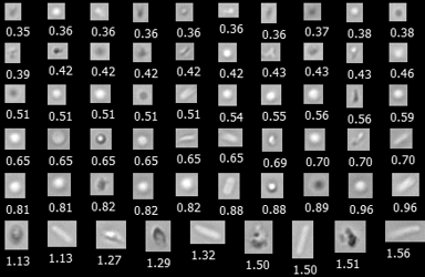 FlowCam Nano collage of protein aggregates, silicone oil, polysorbate