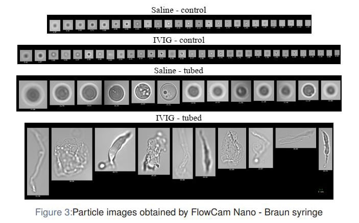 FlowCam Nano images of particles from saline and IVIG in Braun syringe