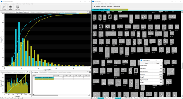 FlowCam VisualSpreadsheet 6 window with data and protein aggregate images