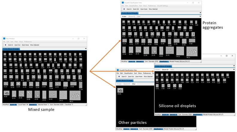 FlowCam VisualAI software interface