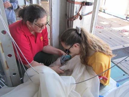 Zooplankton_nets_FlowCam