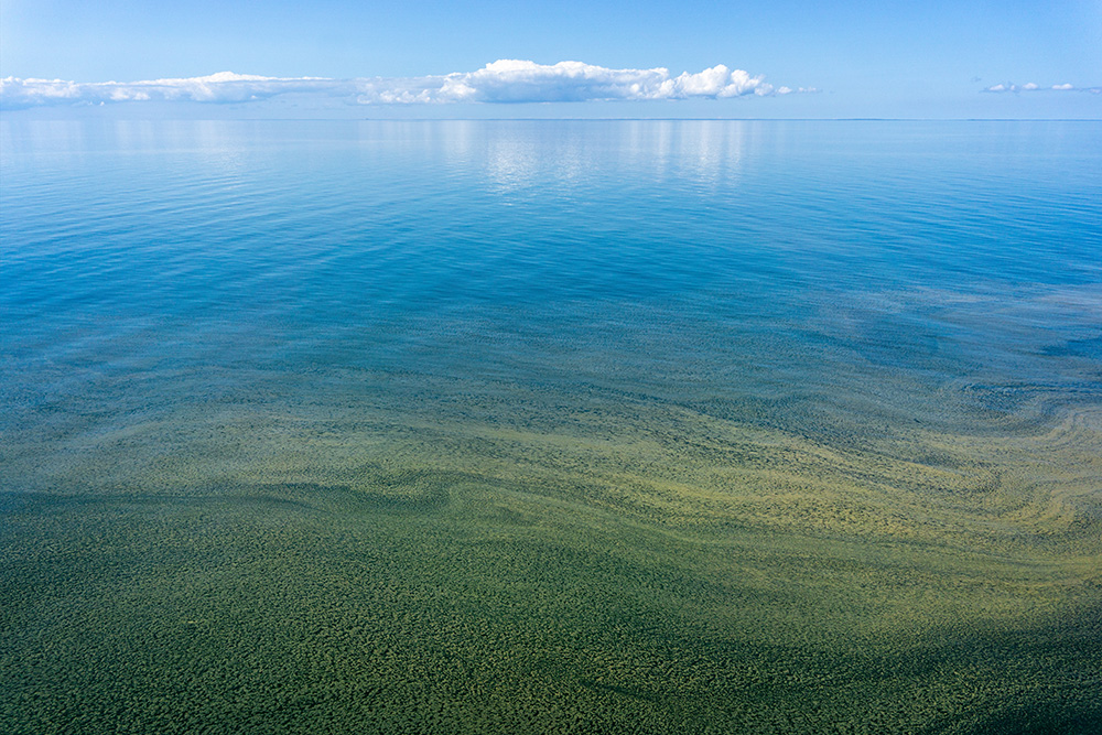 Freshwater harmful algal bloom seen from above